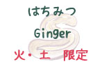 はちみつGinger